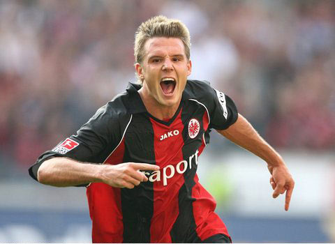 许多专家指 许多专家指